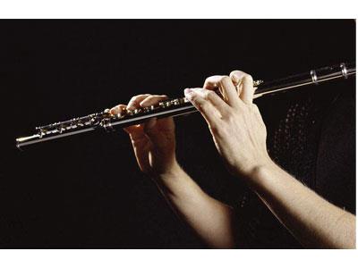 招聘榆林长笛家教老师